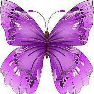 Meet your Posher, Nina